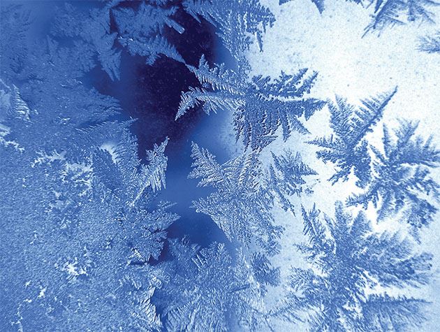 Picture of Winter Crystals