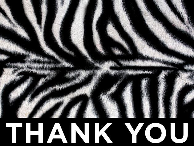 Picture of Zebra Recognition