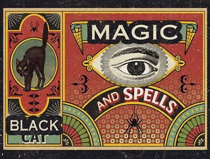 Picture of Black Cat Magic & Spells