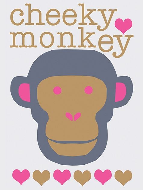 Picture of Bold Monkey