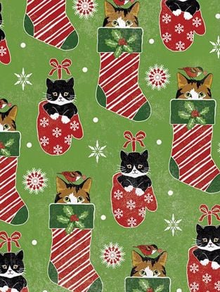 Picture of Cats in Stockings