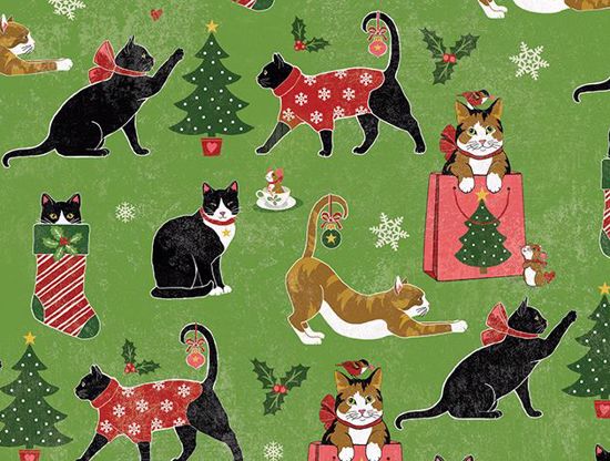 Picture of Christmas Cats