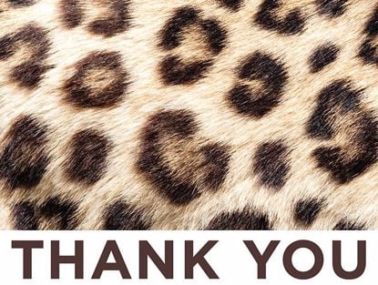 Picture of Grateful Cheetah