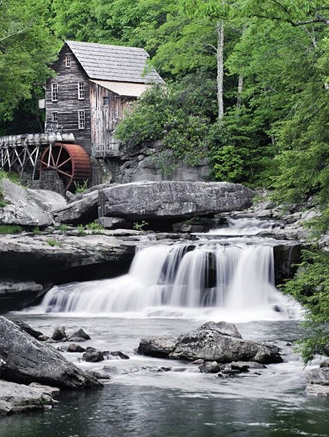 Picture of Mill in the Woods
