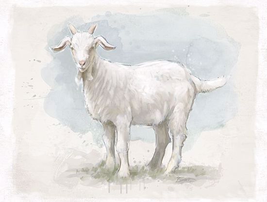 Picture of Painted Billy Goat