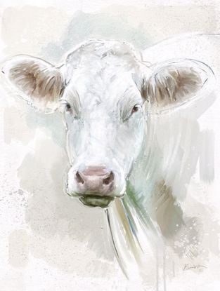 Picture of Painted Cow