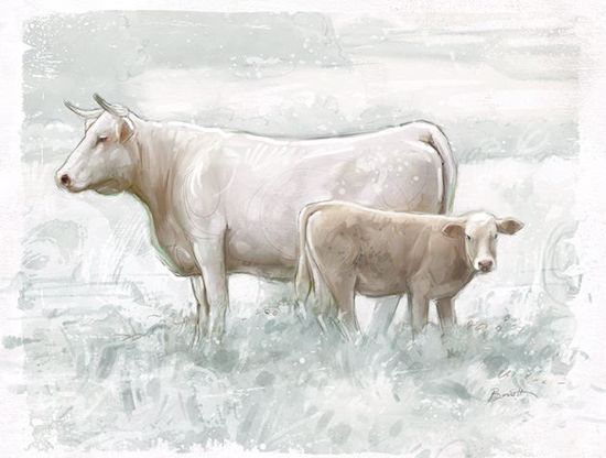 Picture of Painted Cow and Calf