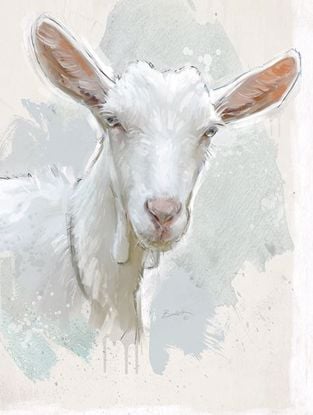 Picture of Painted Goat