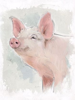 Picture of Painted Pig