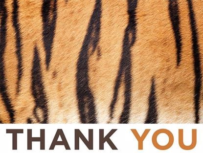Picture of Thank You Tiger
