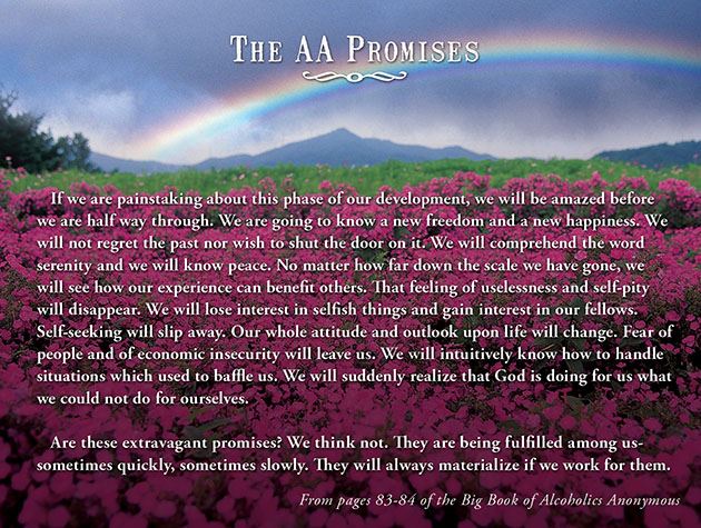 Picture of The AA Promises