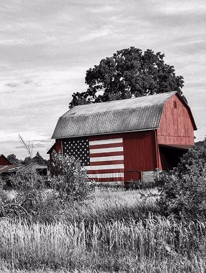 Picture of American Farmhouse