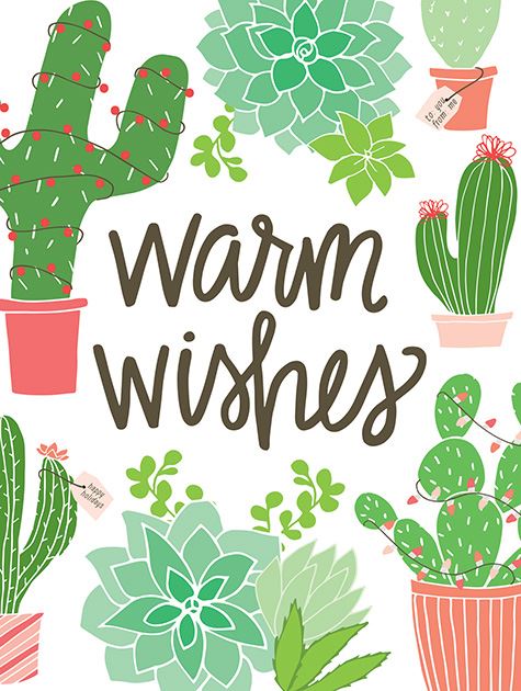 Picture of Warm Wishes Succulents